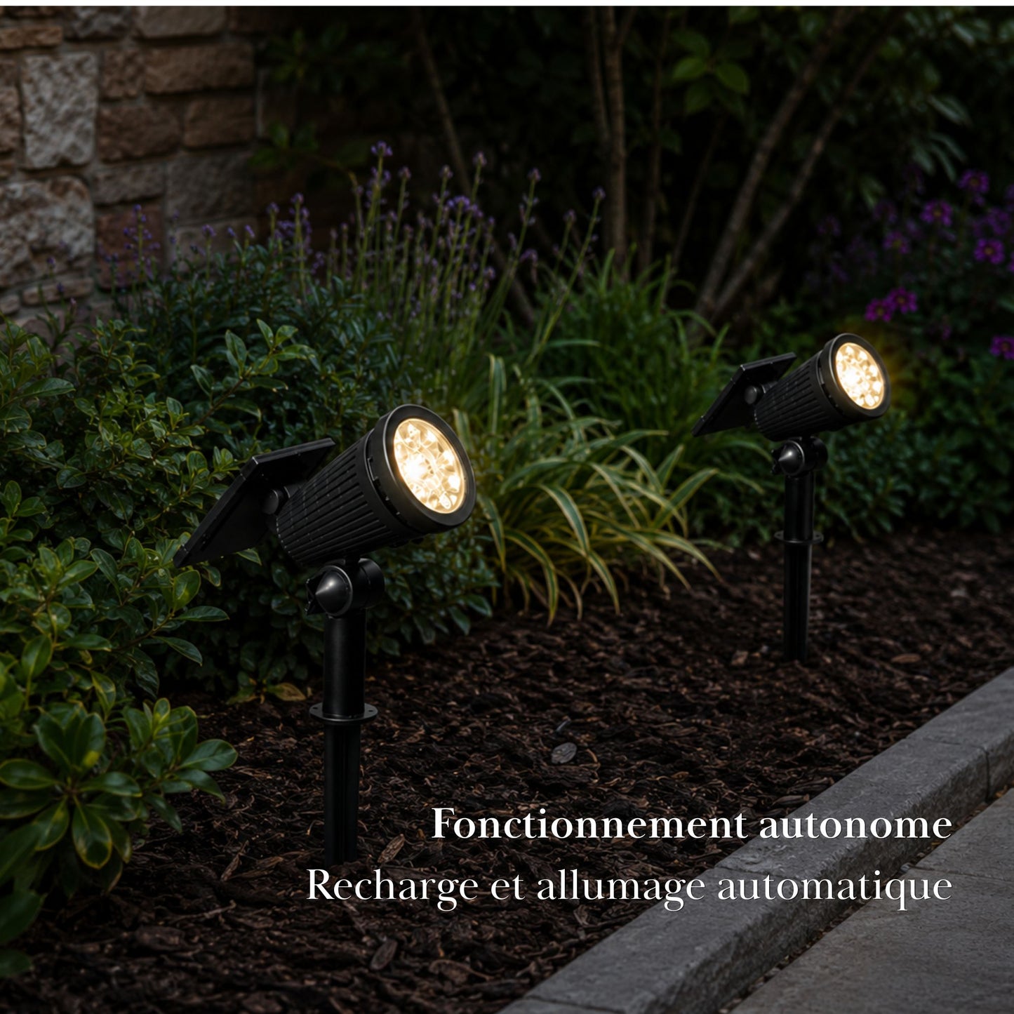 Spot solaire à planter - éclairage orientable - série ambiance