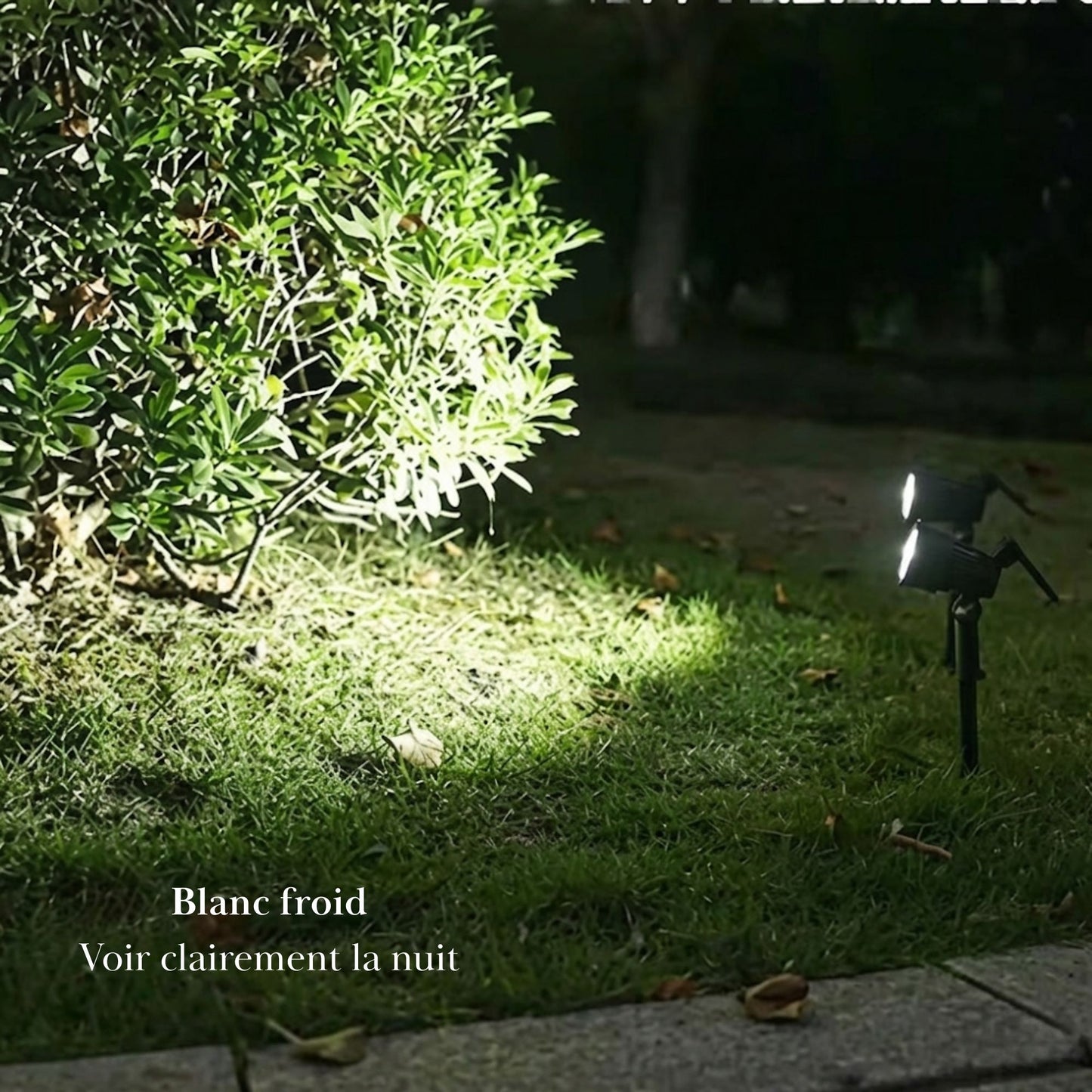 Spot solaire à planter - éclairage orientable - série ambiance