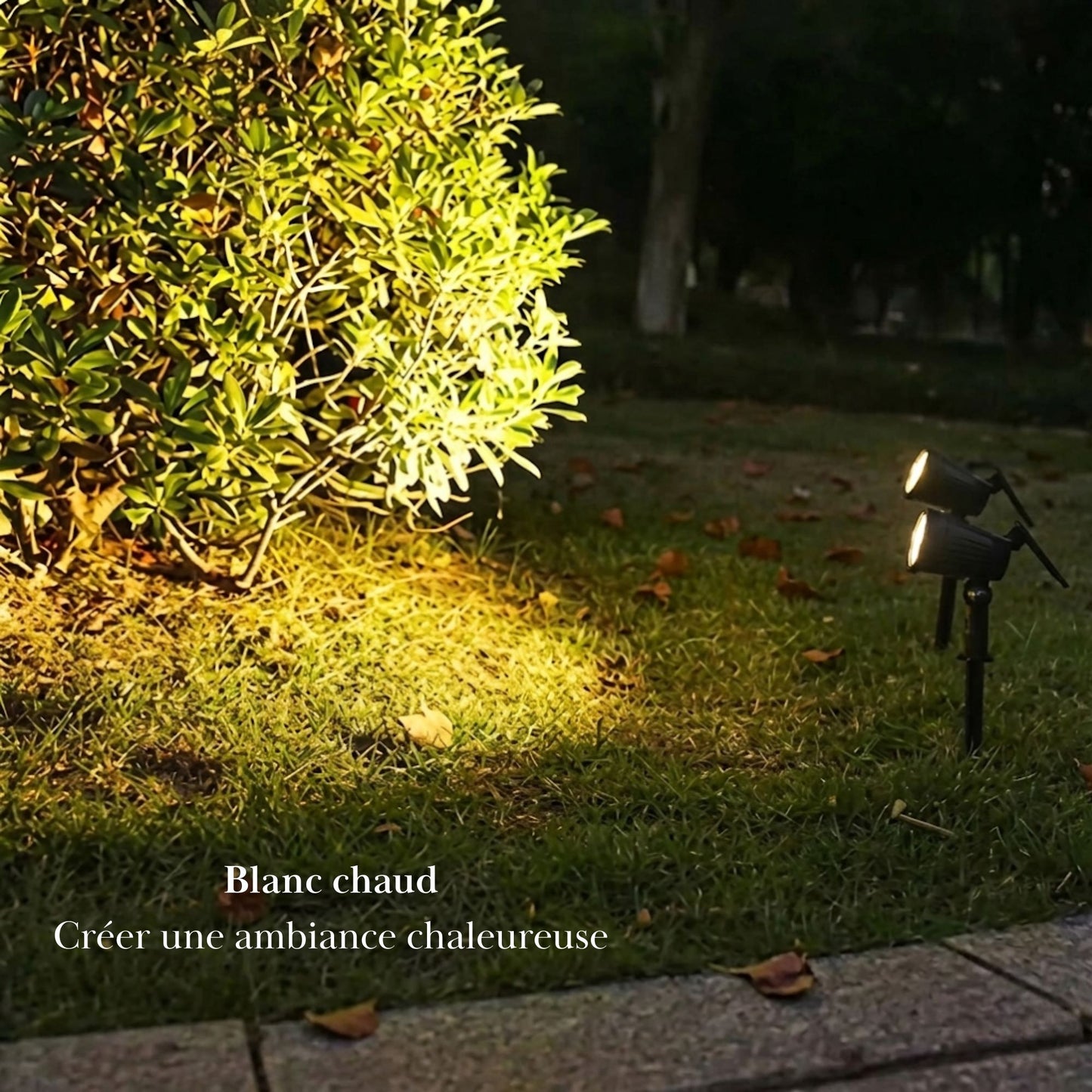 Spot solaire à planter - éclairage orientable - série ambiance