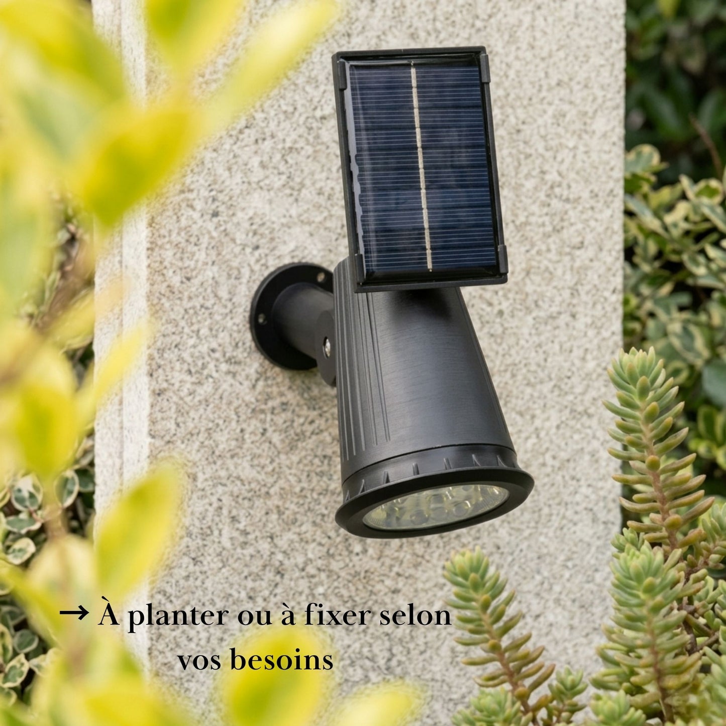 Spot solaire à planter - éclairage orientable - série ambiance