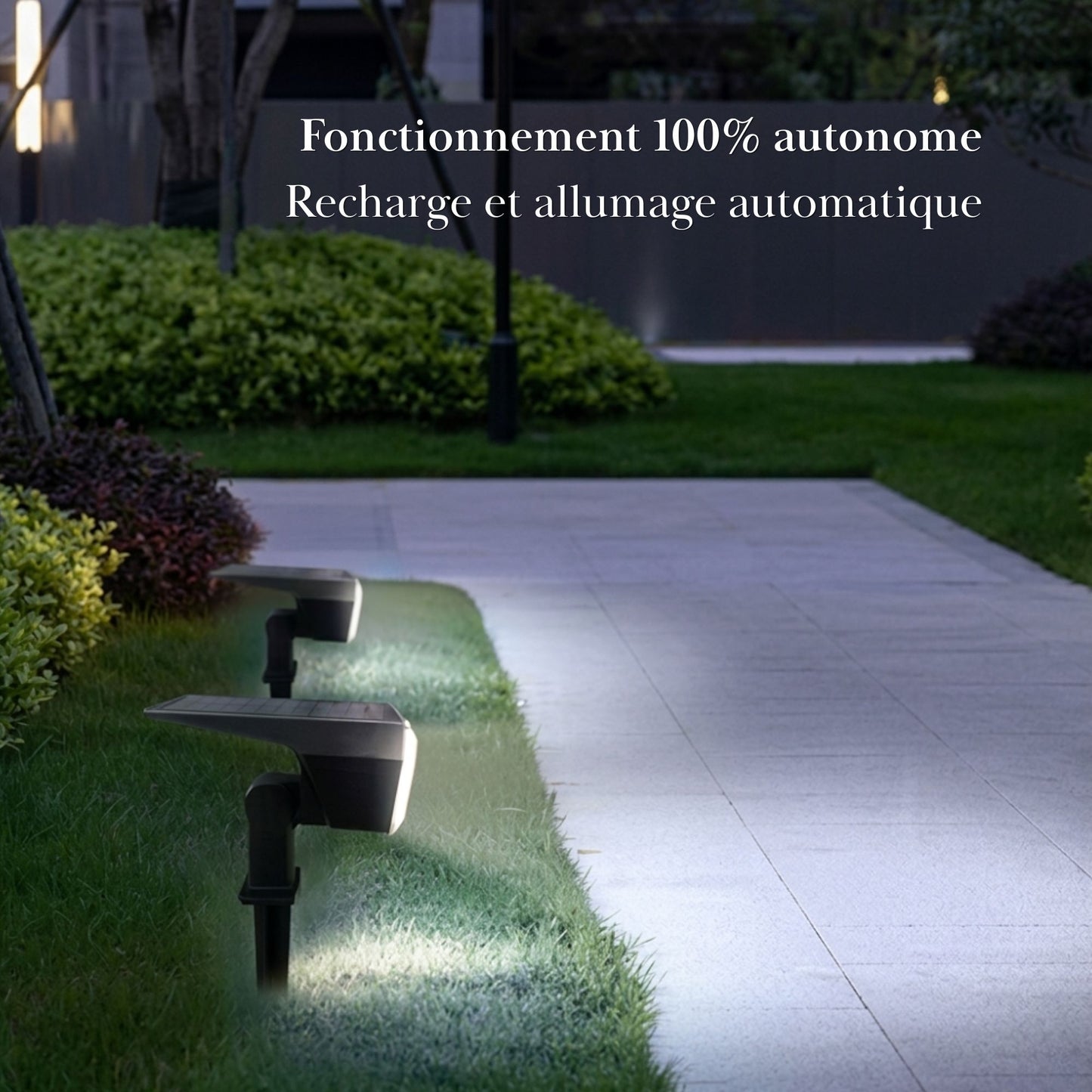 Projecteur solaire à planter - éclairage orientable - série ambiance